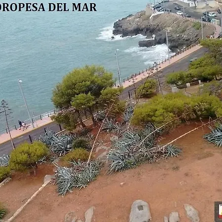 Oropesa Summer