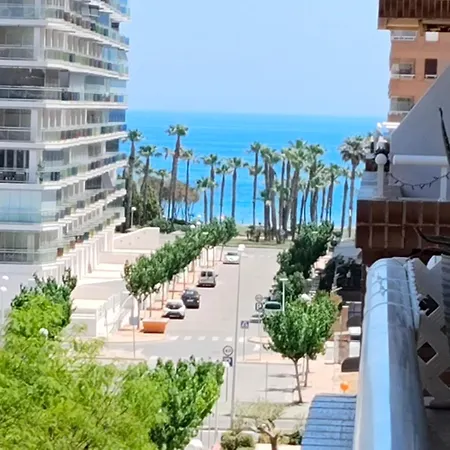 Oropesa Summer أوروبيسا ذيل مار