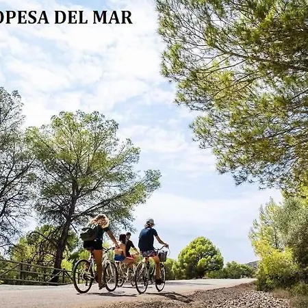 Oropesa Summer *